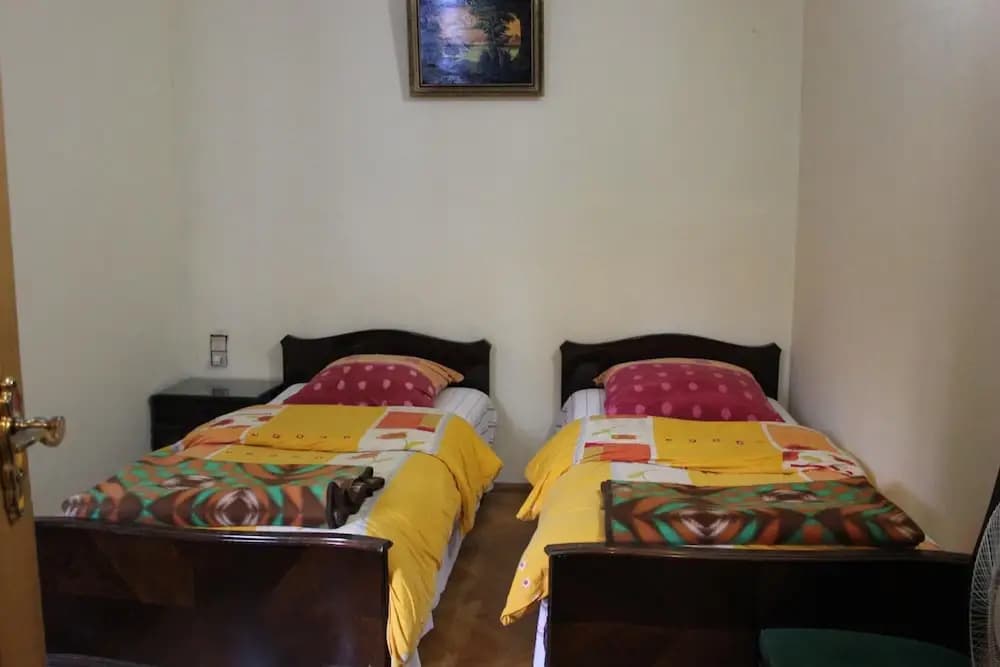Old District Guest House - photo 2