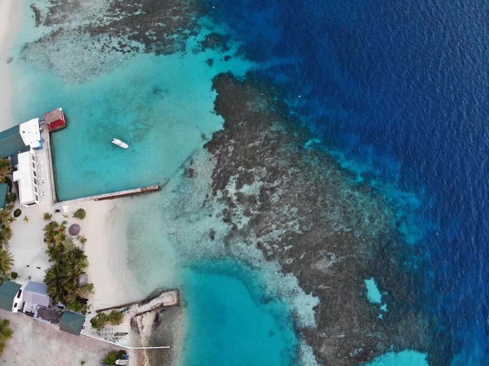 Lagoon View Maldives - photo 30