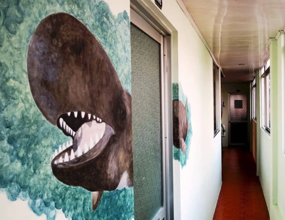 Hanoi Massive Hostel - photo 2