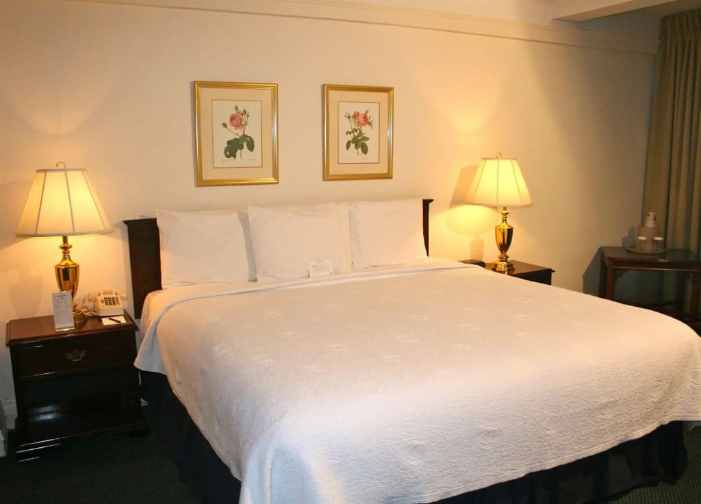 Salisbury Hotel - photo 6