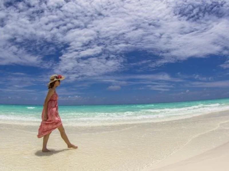 Pallazo Laamu - photo 19