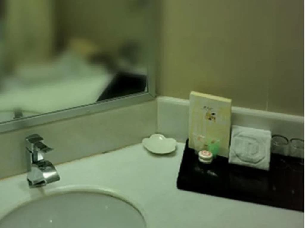 Tang Dynasty Park Hotel - photo 9