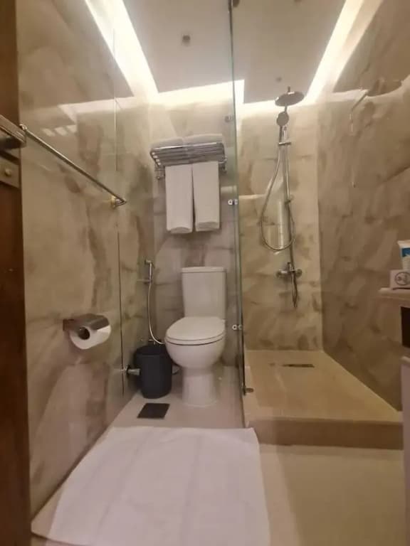 el masaadya hotel - photo 8
