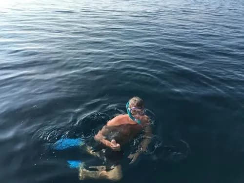 Island Host - photo 17
