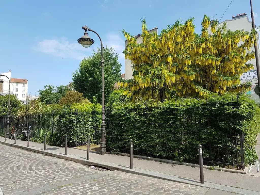 Hotel Moulin Vert - photo 14