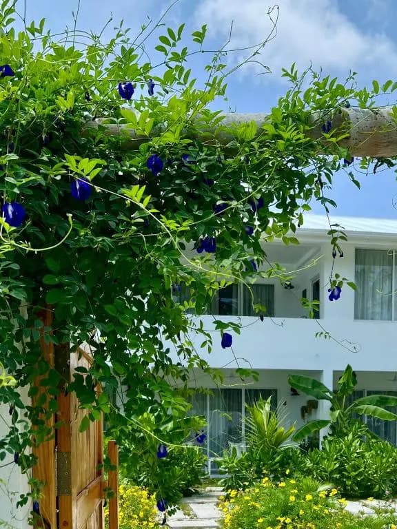 Fairytale Inn - photo 25