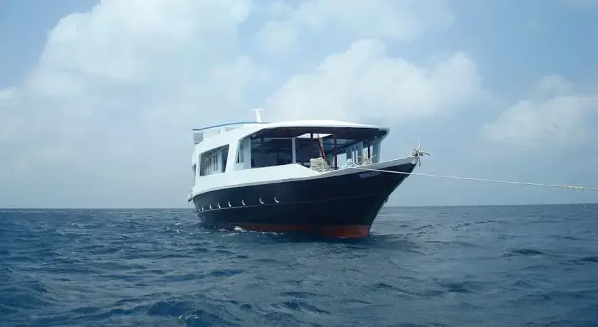 Mv Aisha - photo 7