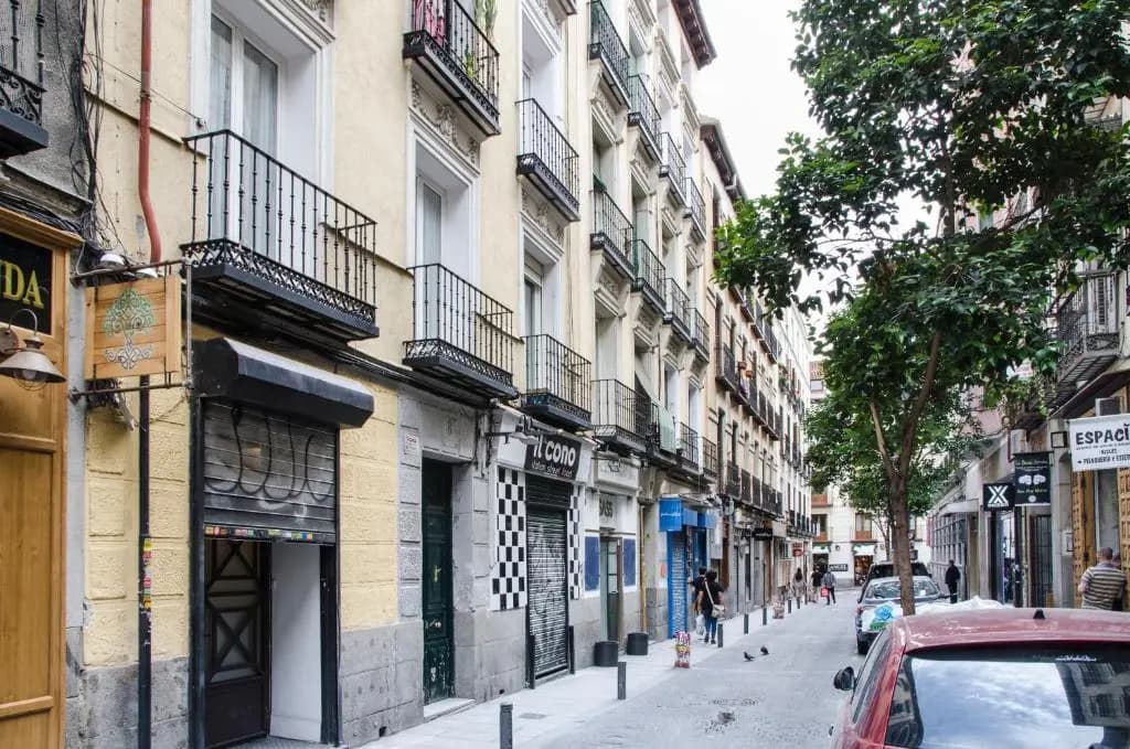 Pelayo, 8 - main photo