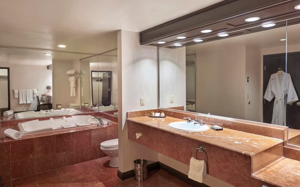 Treasure Island - TI Las Vegas Hotel & Casino - photo 37
