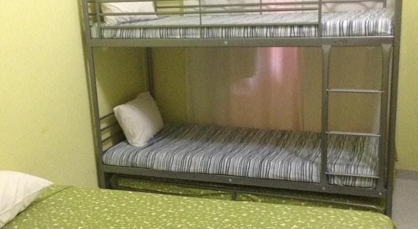 Guest House Bela Flor - photo 7