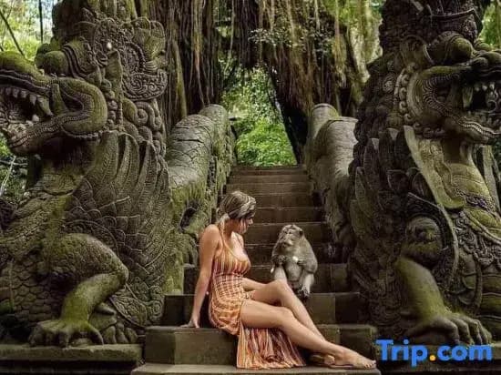 Private Room Near Ubud Monkey Forest Bali - photo 9