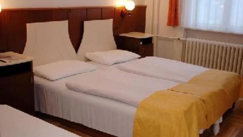Inn Side Hotel Delibab - photo 3