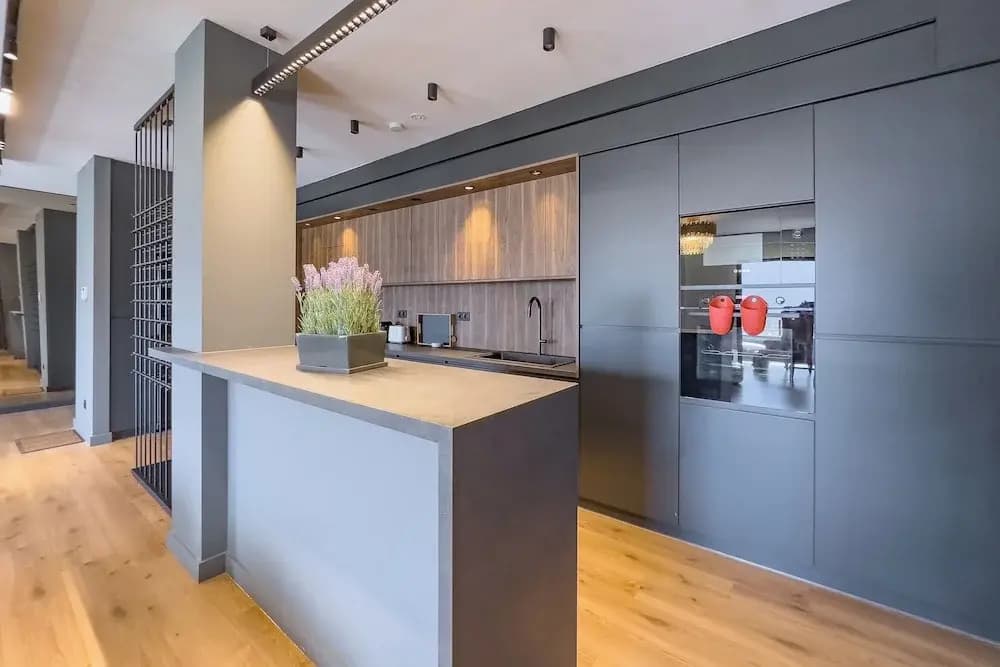 Phaedrus Living Apollo Skyview Penthouse - photo 13