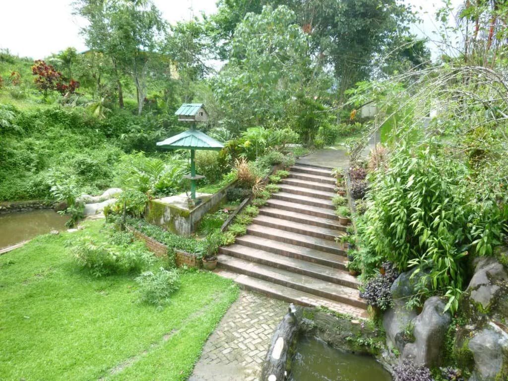 Slagon Homestay - photo 7