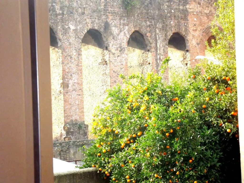 Villa Lanusei - photo 9