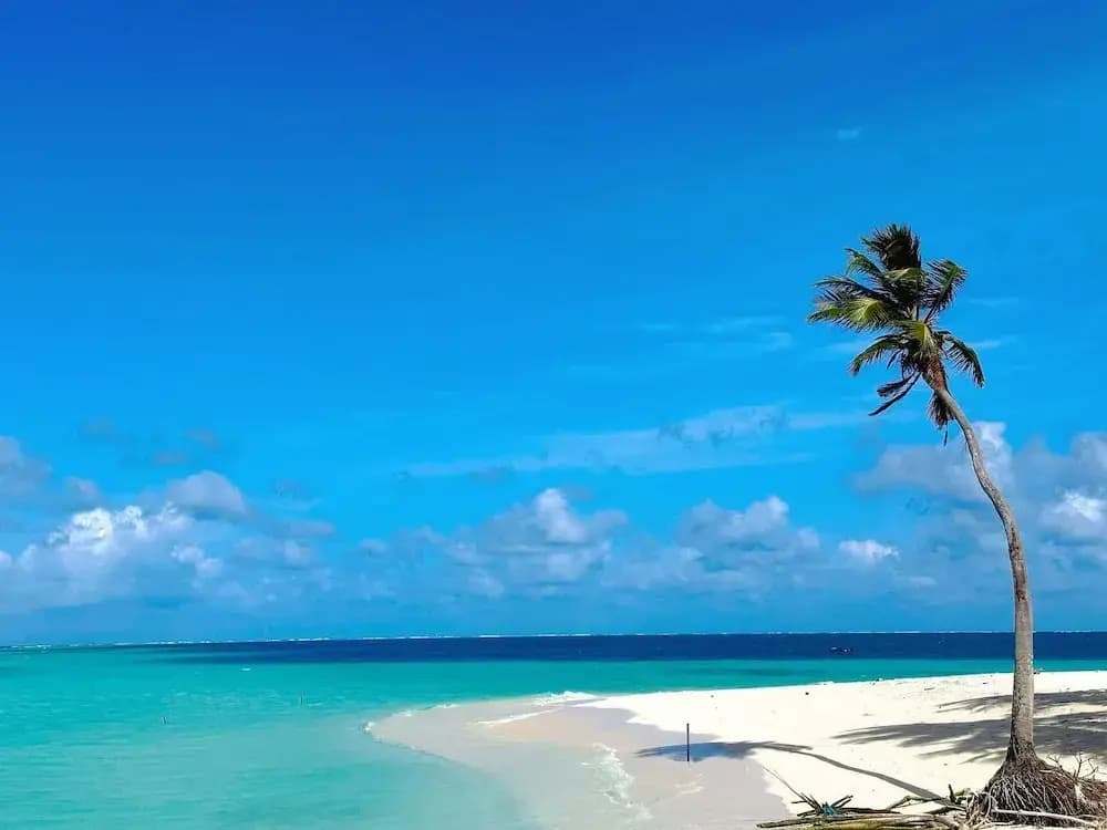 WhiteSand - photo 40