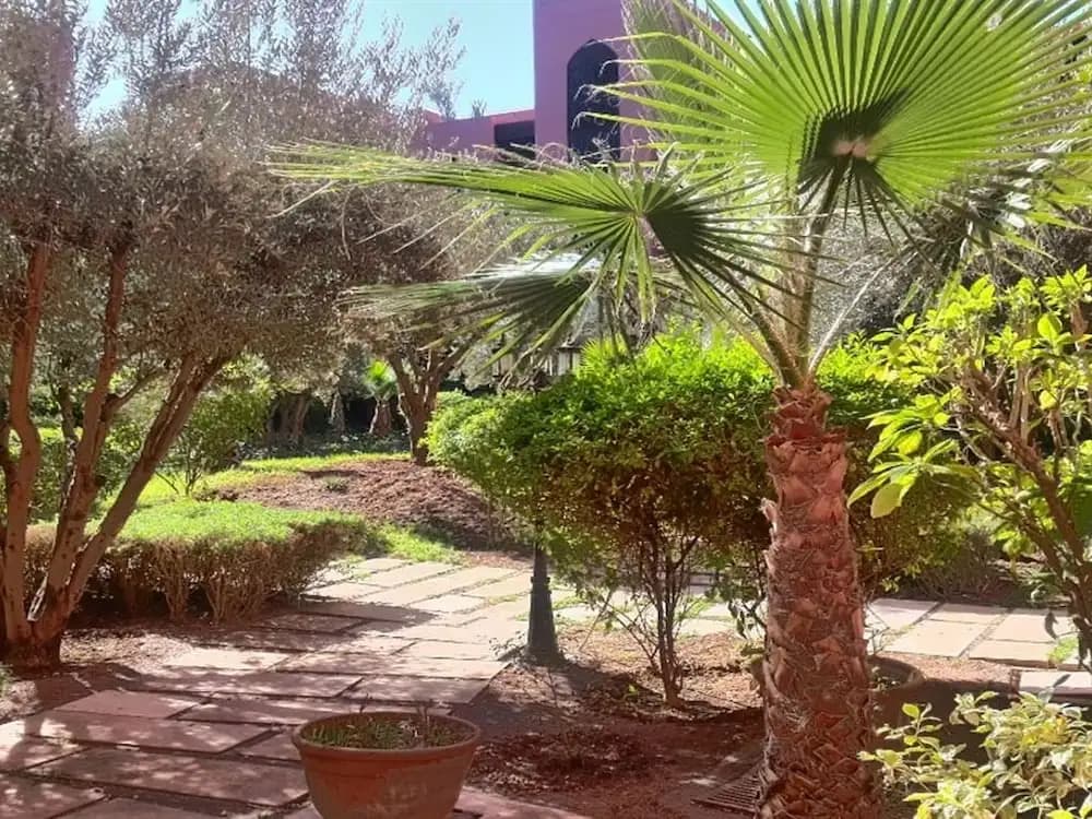 Riad Maslala - photo 14