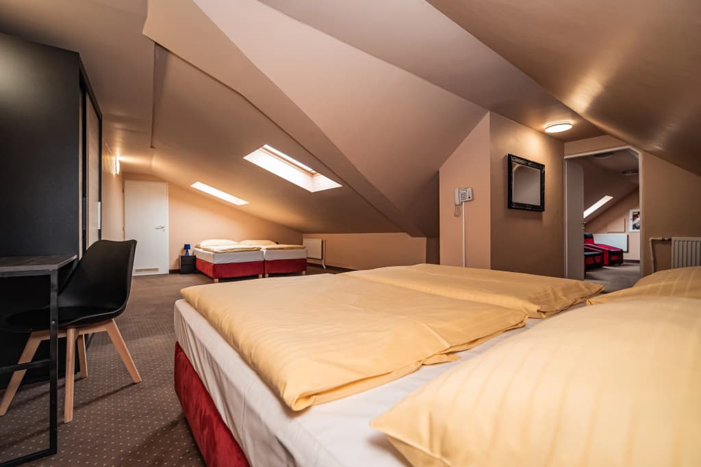 Hotel Czechia - photo 4