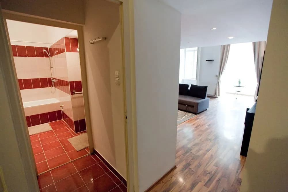 Kiraly Apartment - photo 4