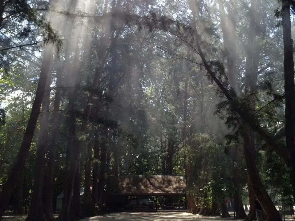 The Naka Camp - photo 7