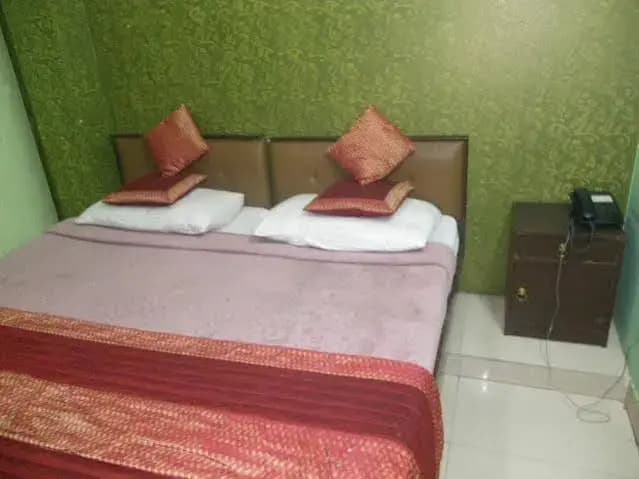 Hotel Pal Palace - photo 6