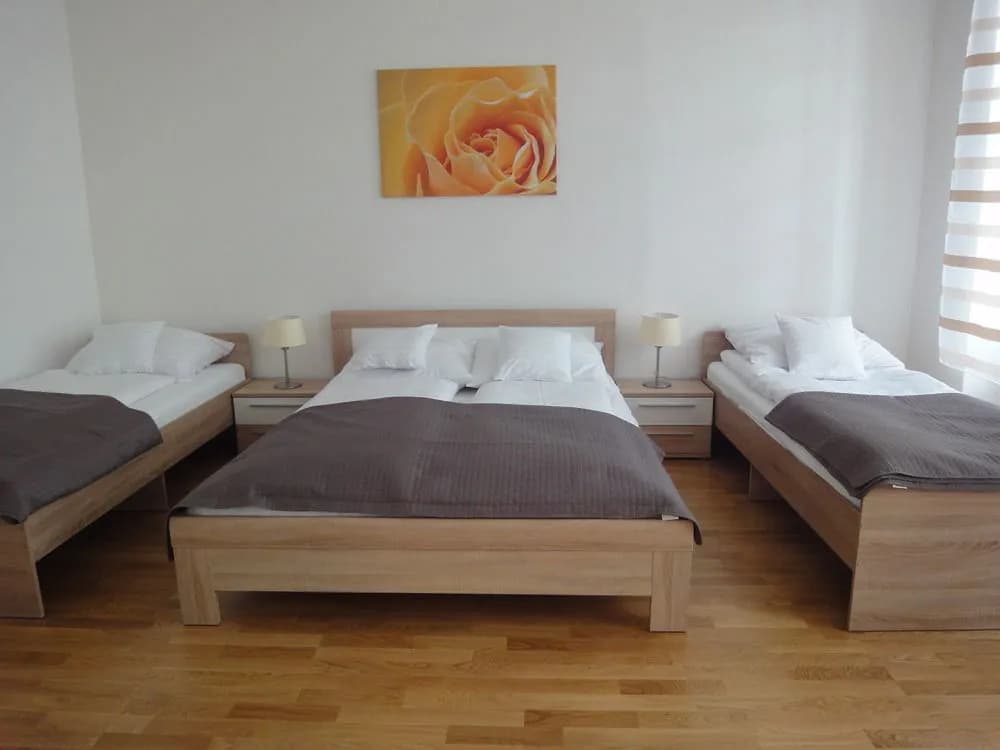 Four Seasons Apartment - photo 3