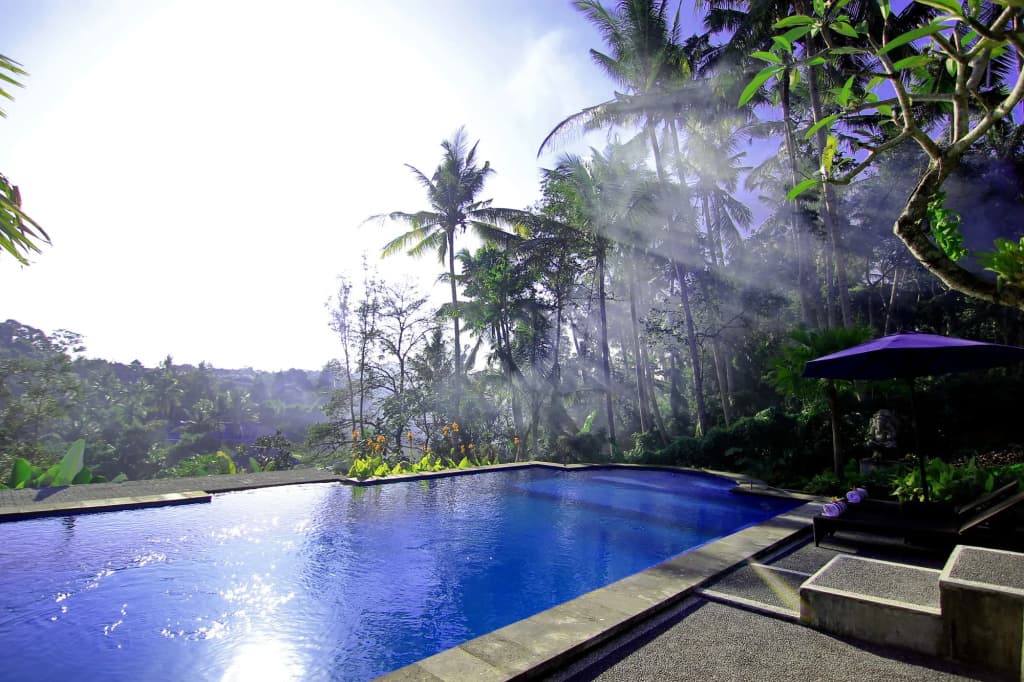 Villa Capung Mas - photo 8