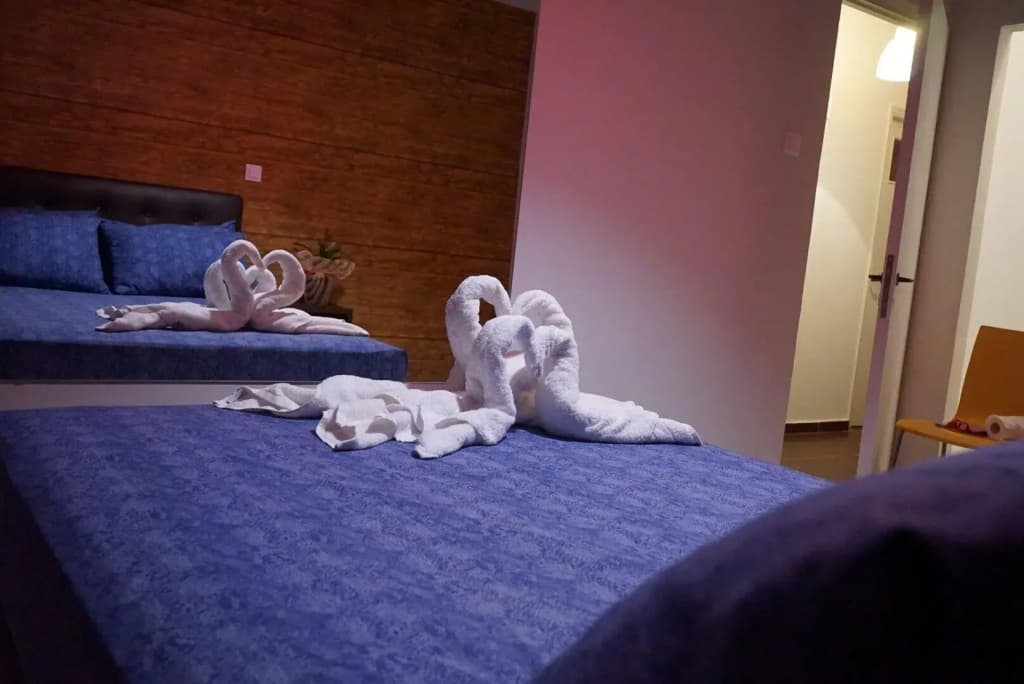 Orpheus Hotel - photo 5