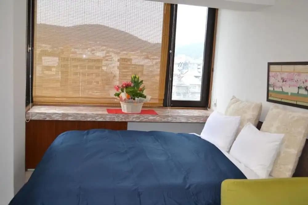 Guesthouse Hanasaki - photo 6