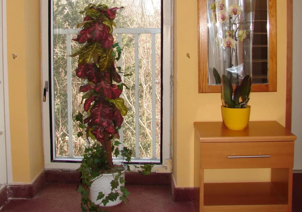 Hotel Aladin - photo 14