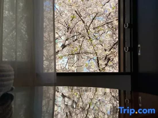 Real Life HIROO - photo 5