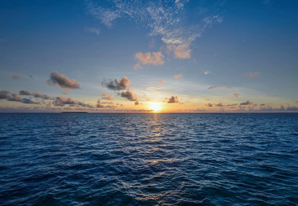 The St. Regis Maldives Vommuli Resort - photo 19