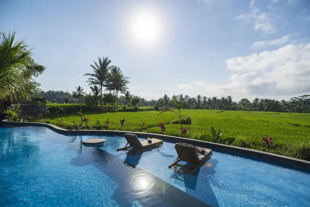 Beehouse Dijiwa Ubud - photo 11