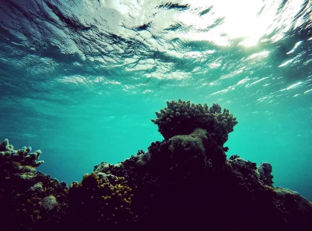 Long Beach Laamu - photo 23