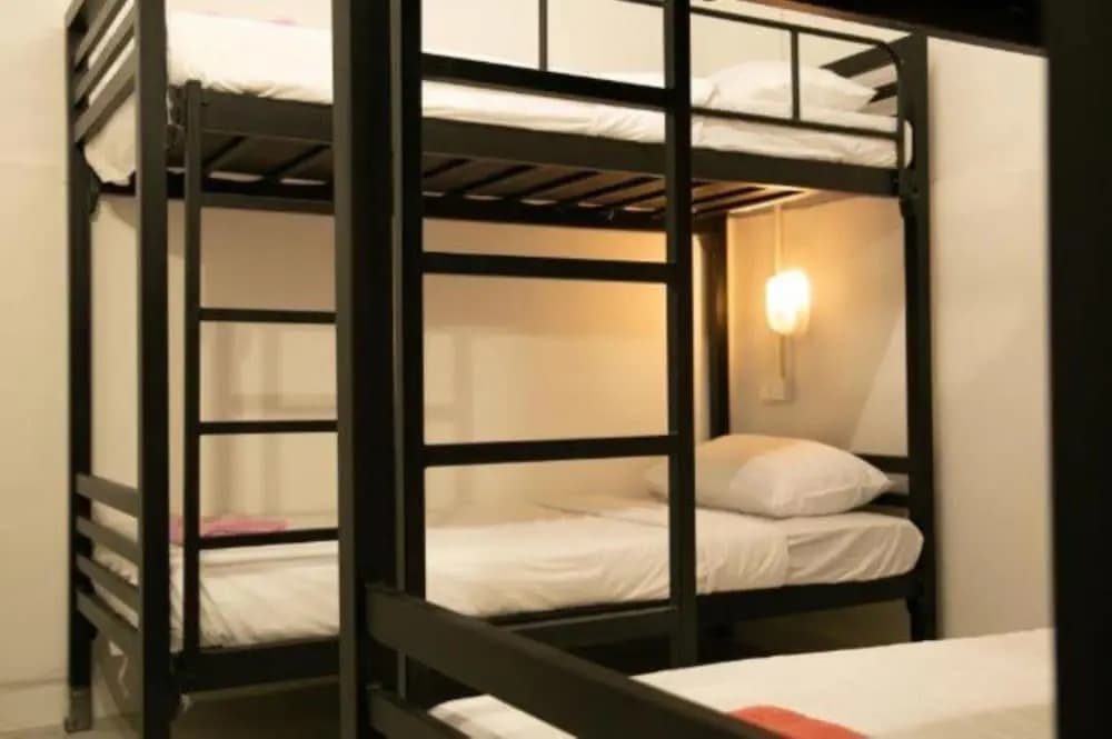 3 Plus 1 Hostel - photo 19