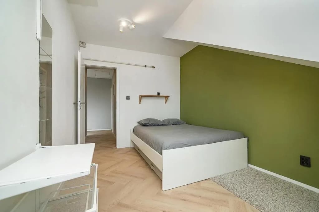 Big 4-bedroom flat, terrace with great Vítkov view - photo 5