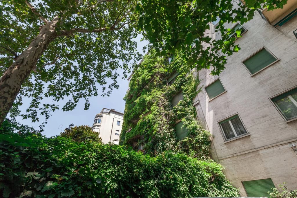 easyhomes - Majno - main photo