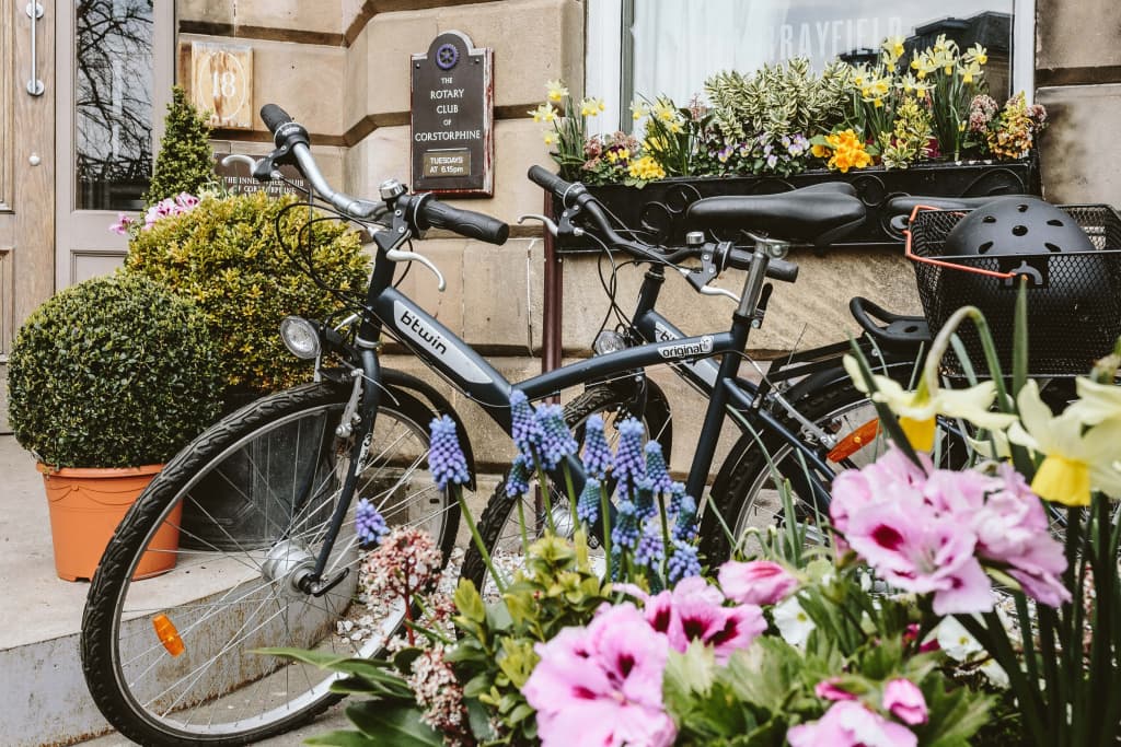 Murrayfield Hotel - photo 26