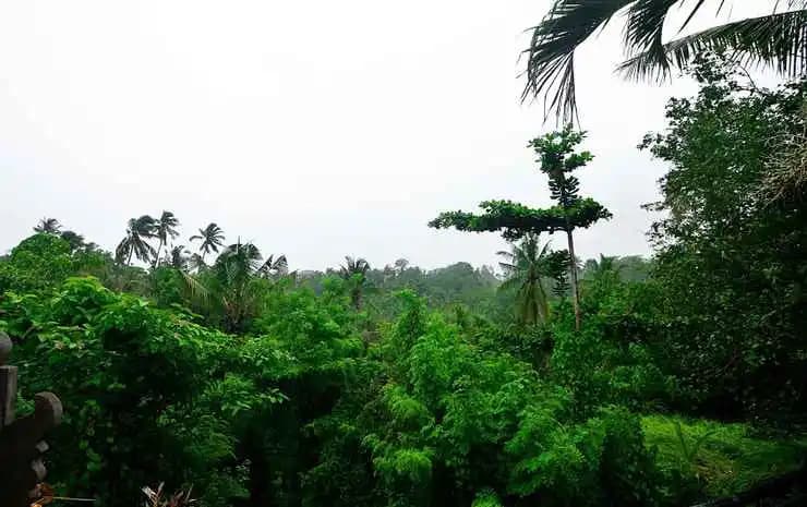 The Loyik Villa Ubud - photo 19