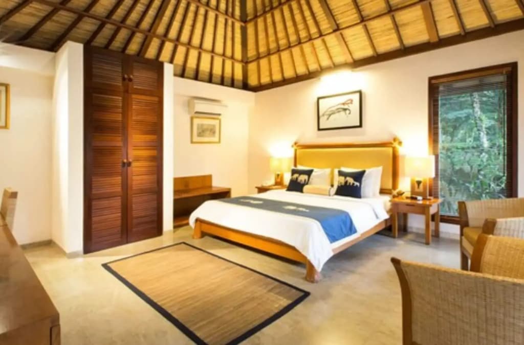 Mason Elephant Lodge - photo 6