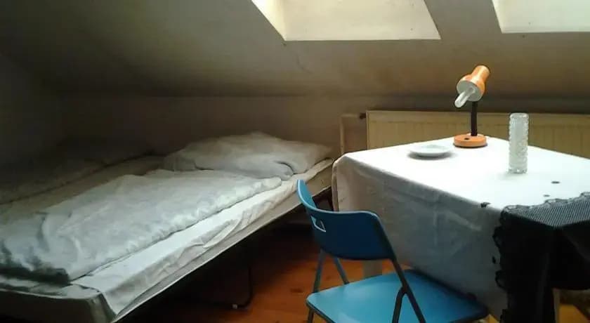 Apricot Hostel - photo 5