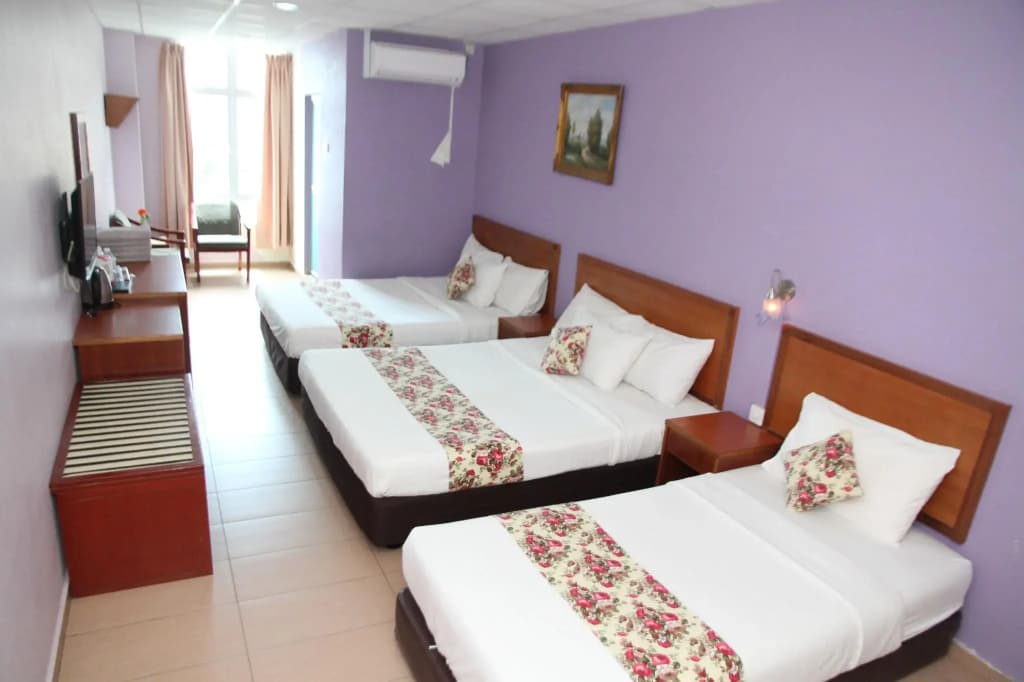 Hotel D View - photo 3