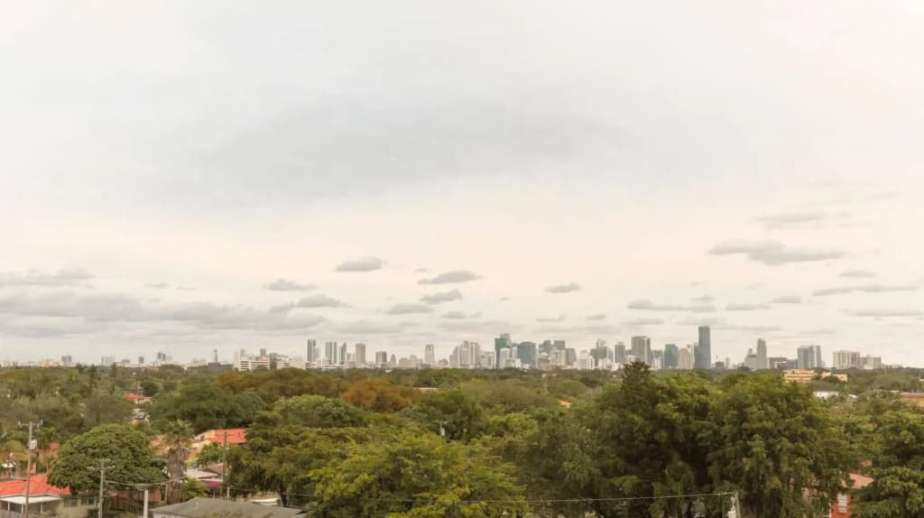 Pelicanstay in Coconut Grove Miami - photo 15