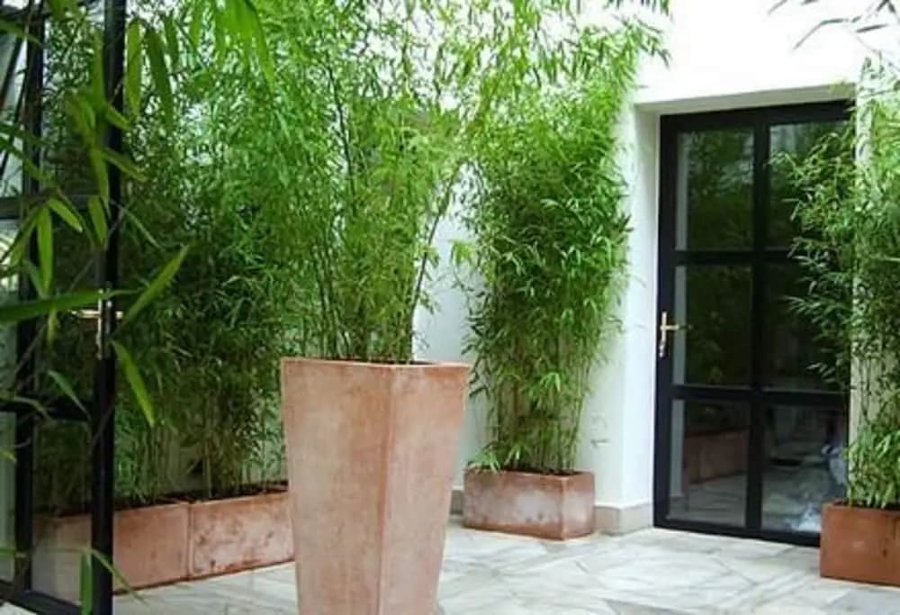 Hotel Tingis - photo 15