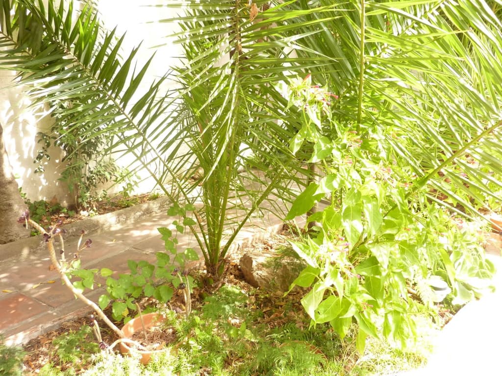 Casa Vilaró - photo 16