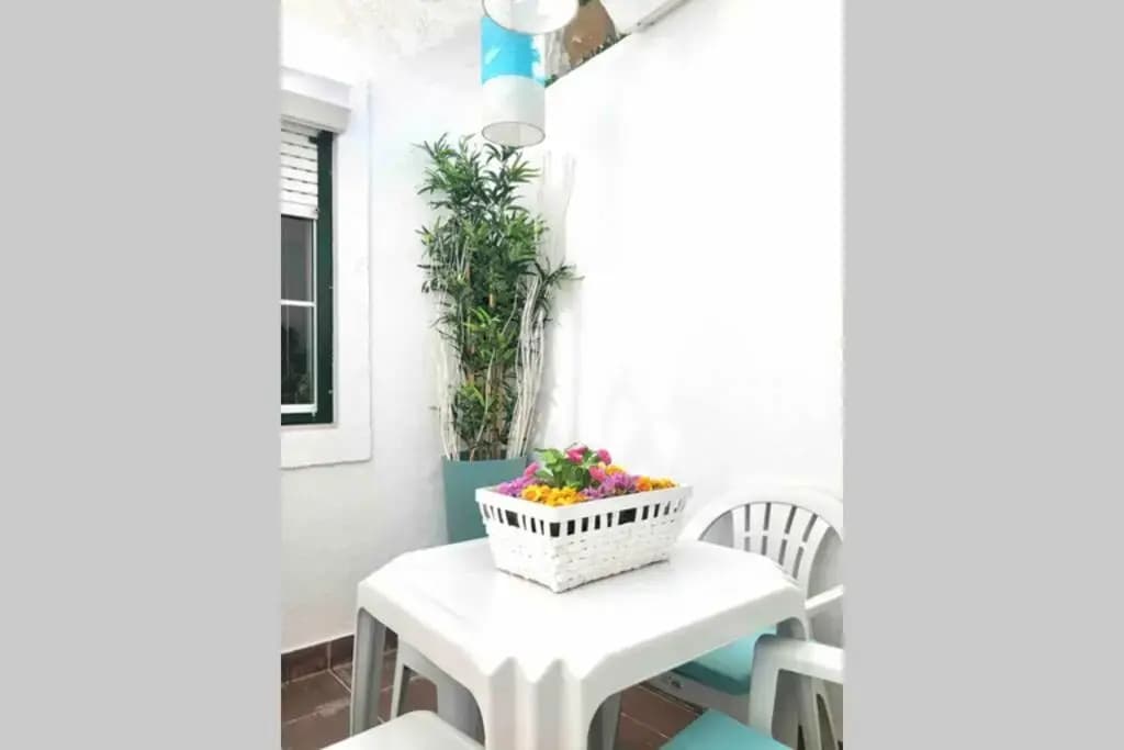 Graça 4 - photo 14