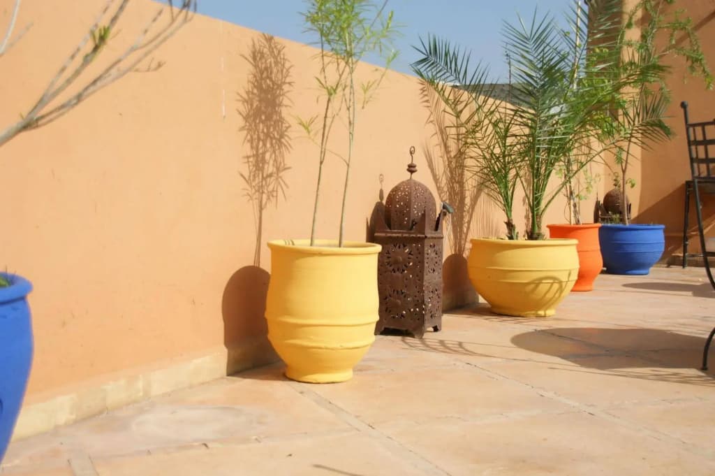 Riad Azenzer - photo 14