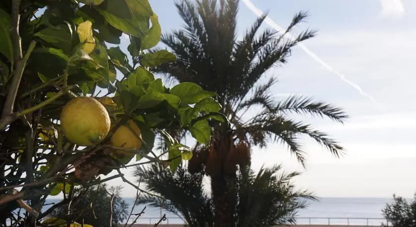 Promenade Lemon Apartment - photo 8