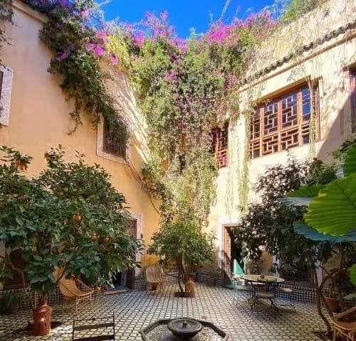Riad Bohemia - photo 18