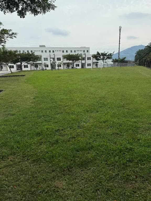 Homestay Mykulim - photo 22